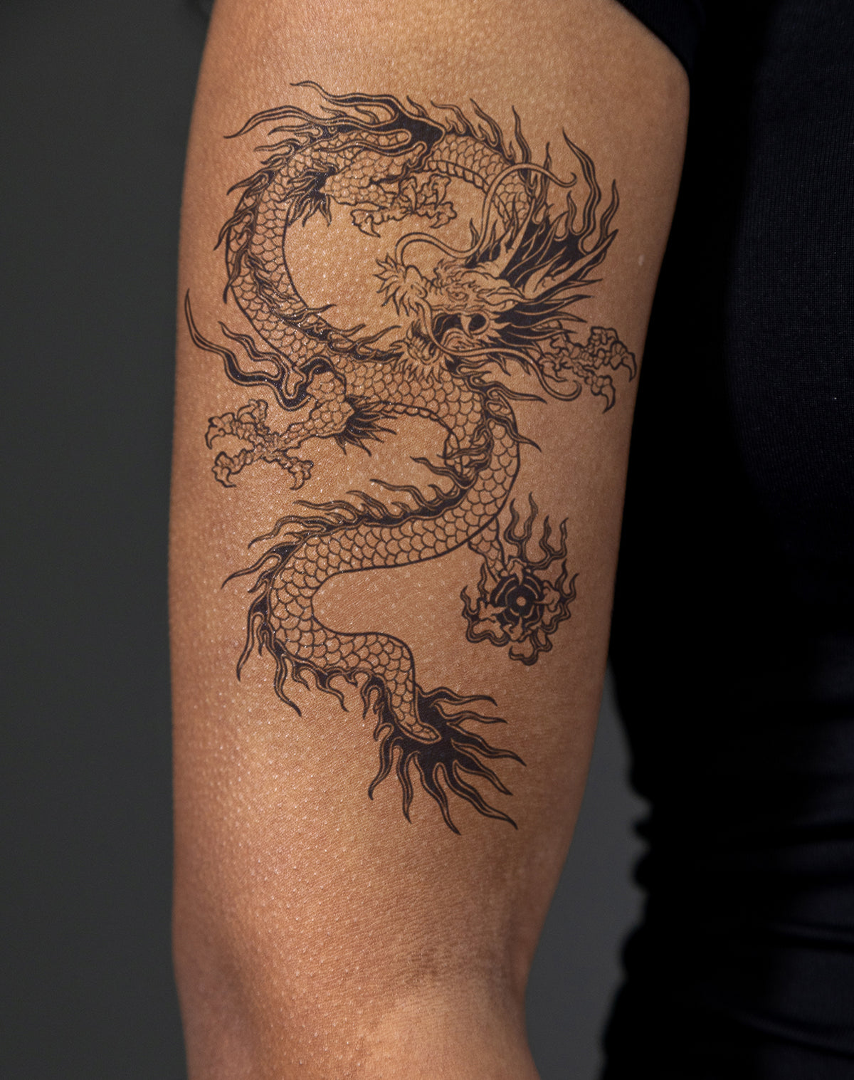 Traditional Japanese Dragon v2