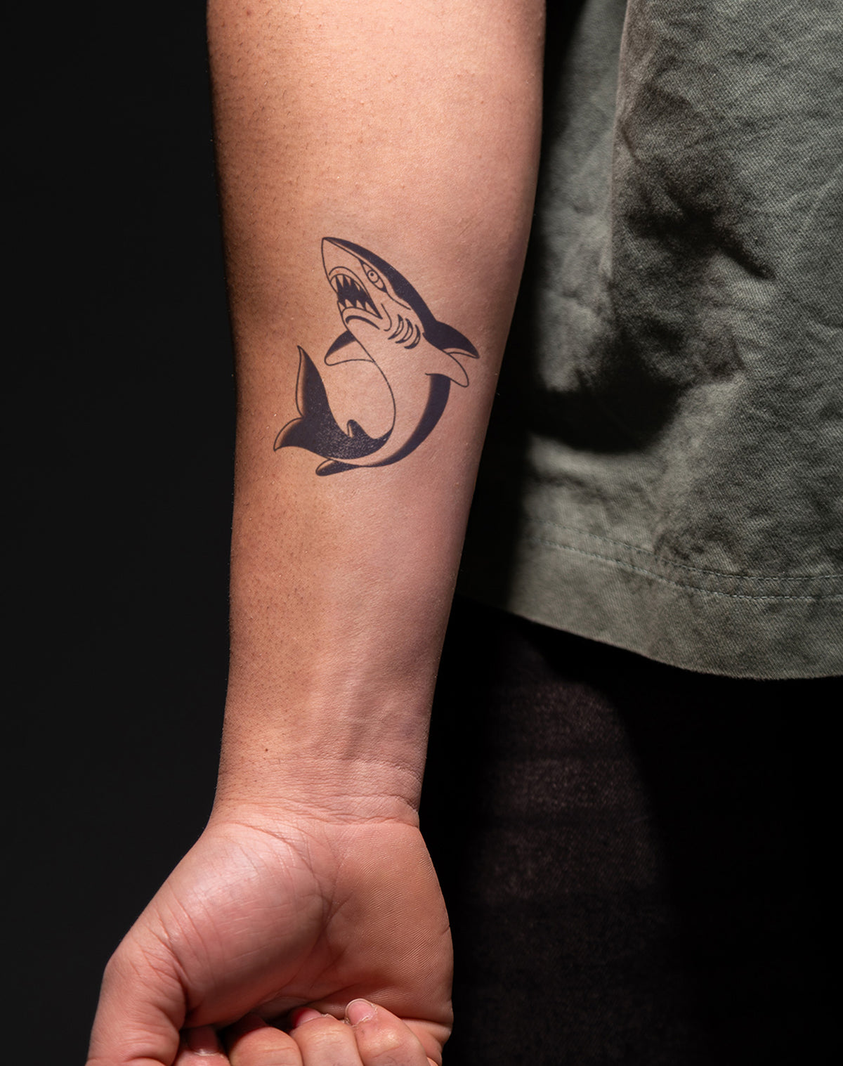 Traditional Shark