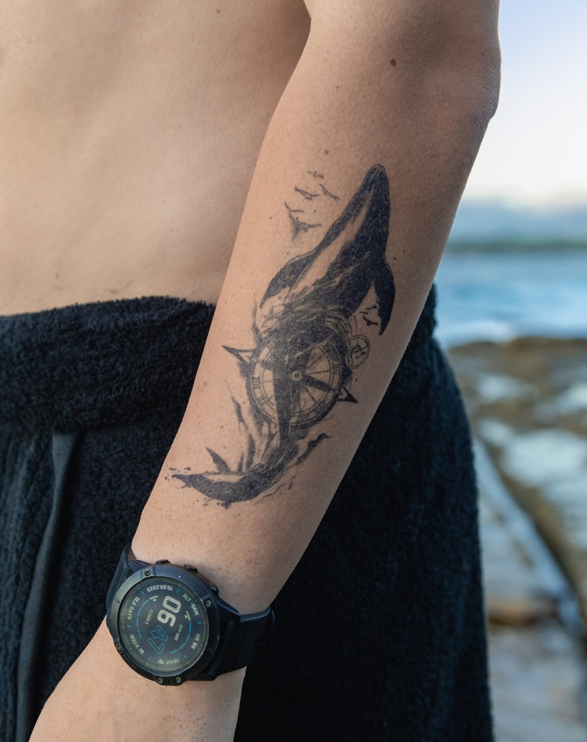 Travellers Whale