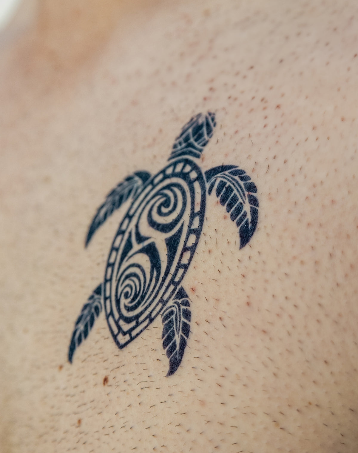 Tribal Turtle