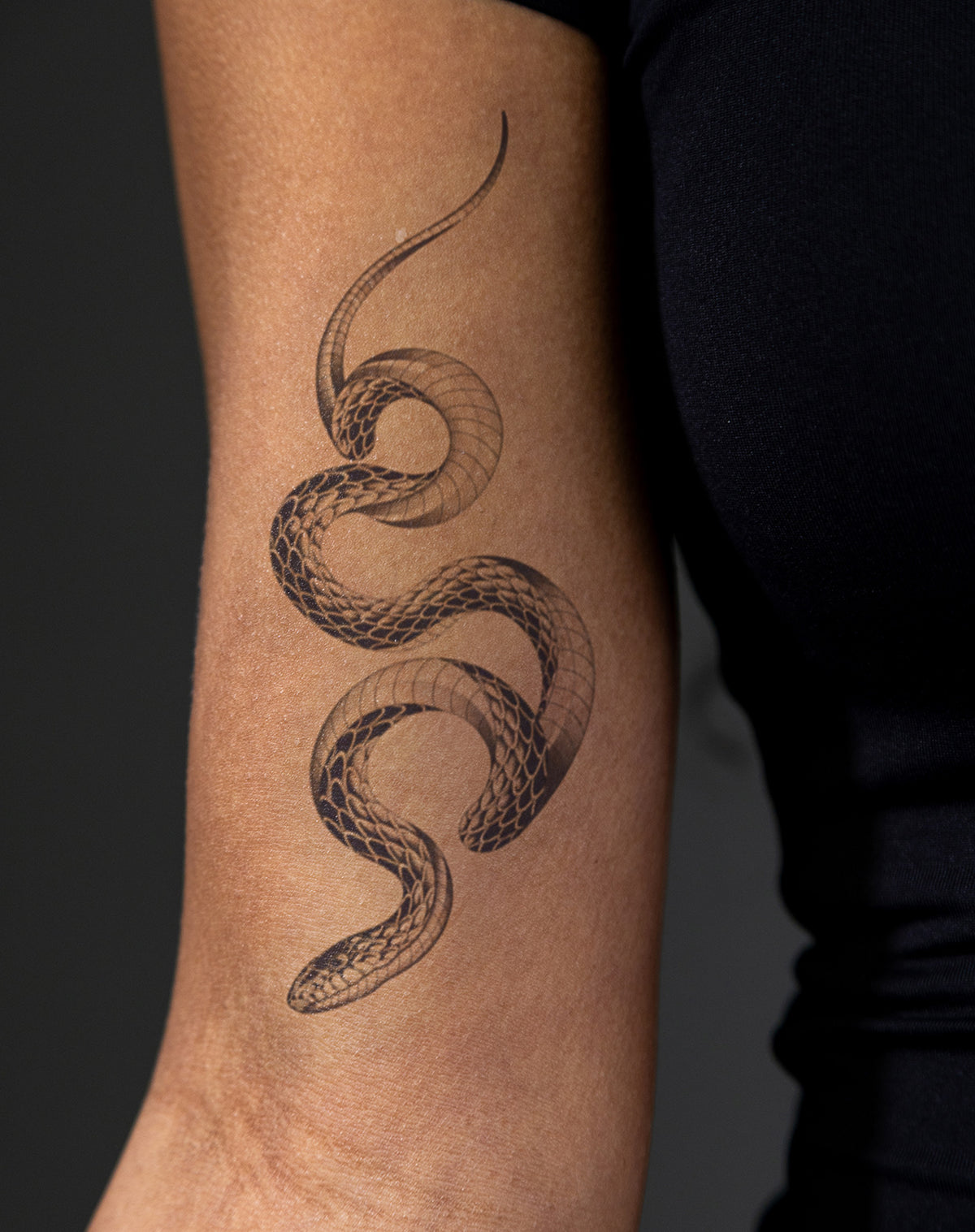 Twisting Guardian