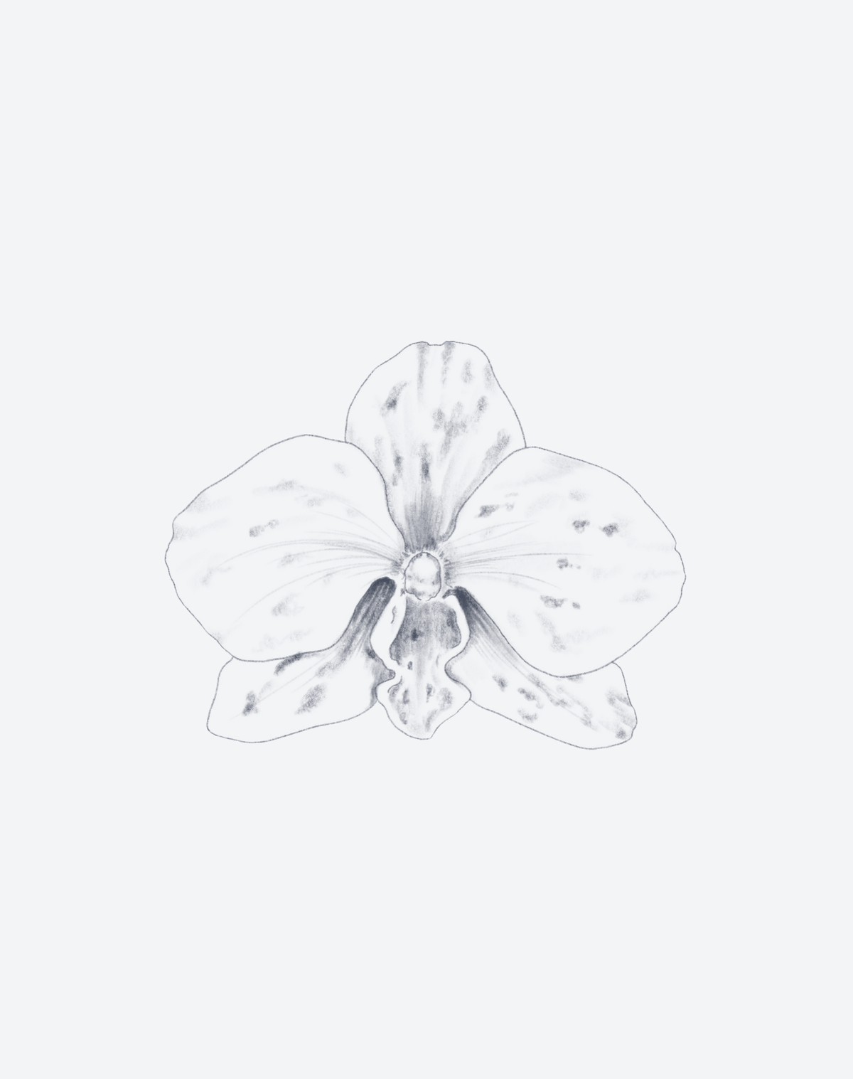 Venus in Bloom