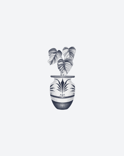 Vessel 2 Pcs