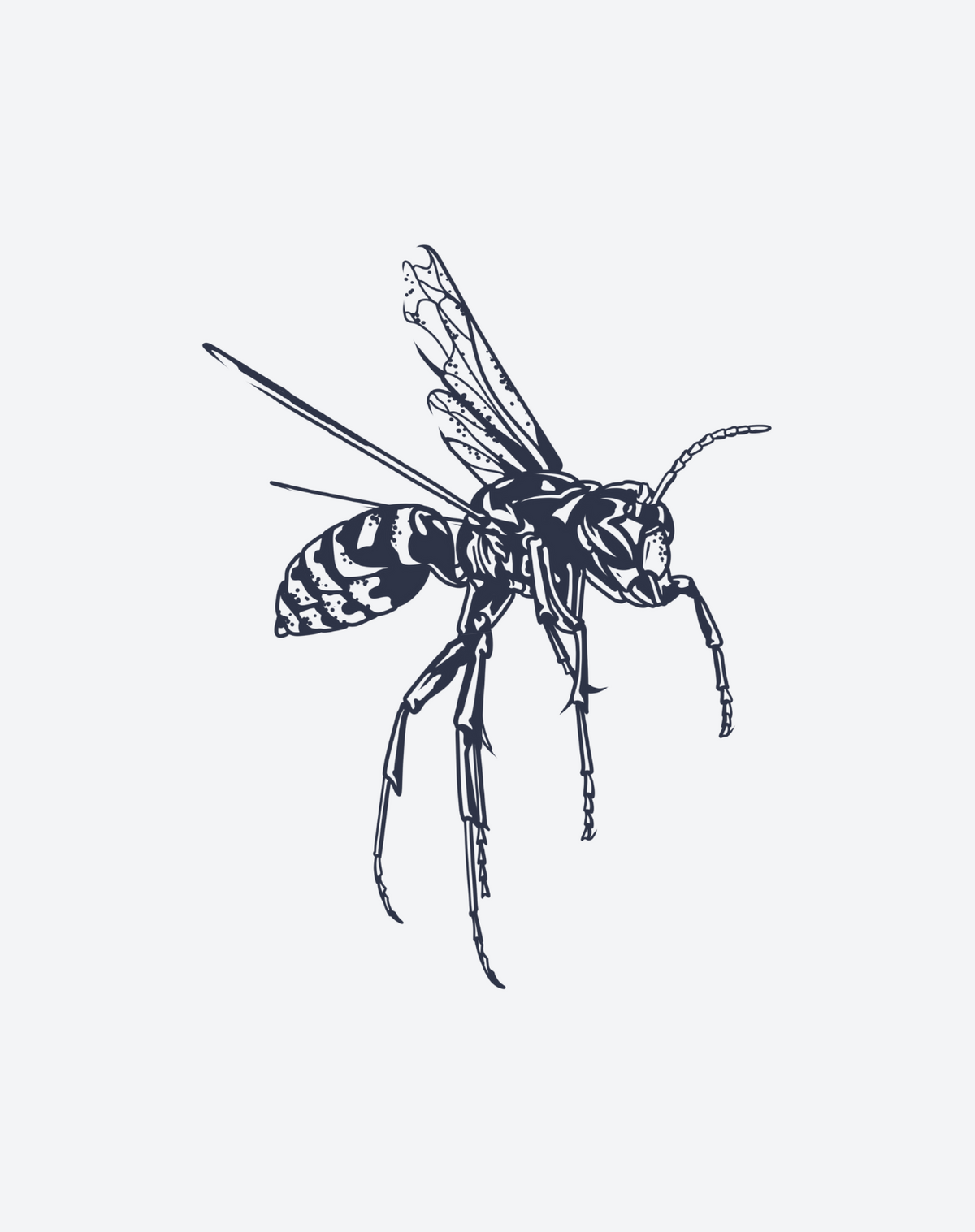 Wasp 2 Pcs