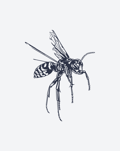 Wasp 2 Pcs