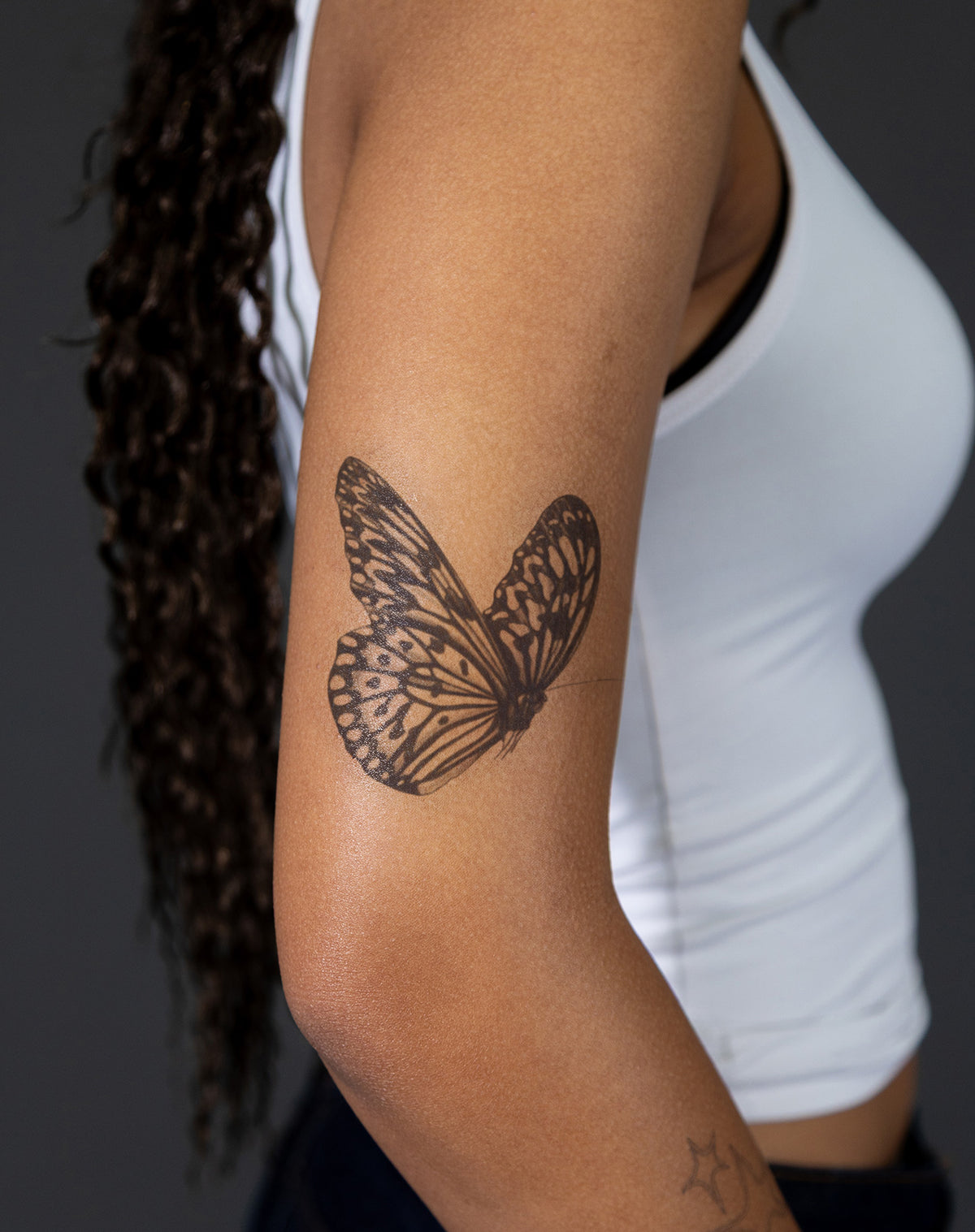 Winged Whimsy