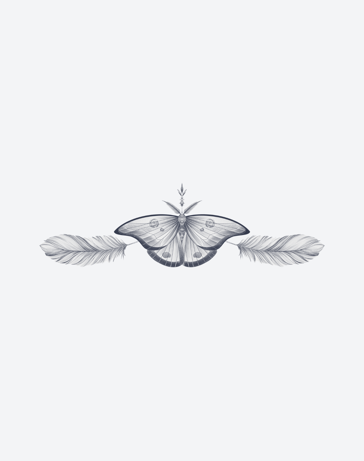 Wings Within