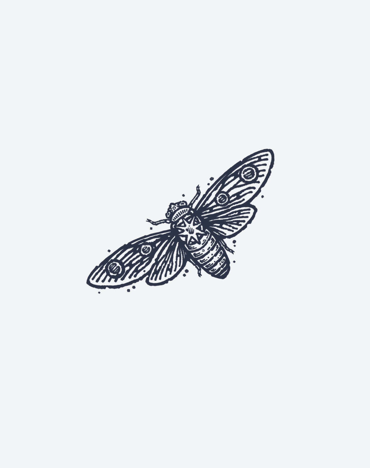 Wings of Decay 2 Pcs