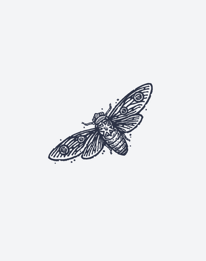 Wings of Decay 2 Pcs