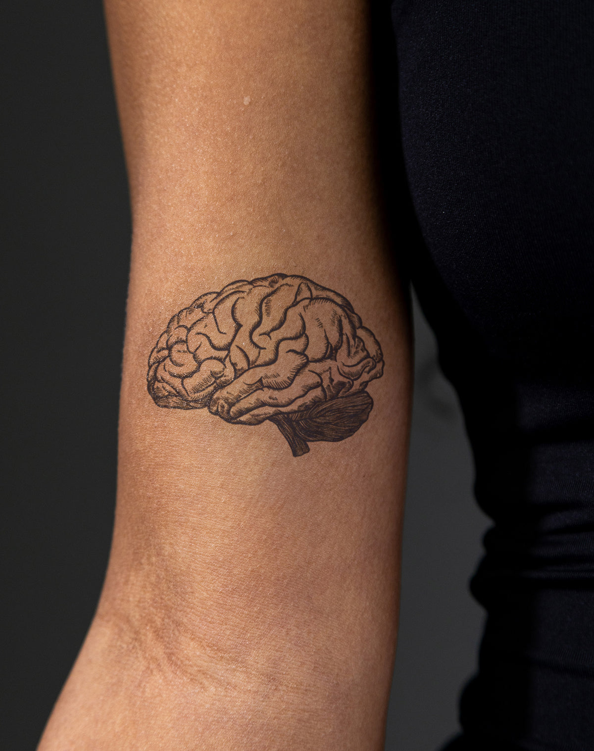 Brain