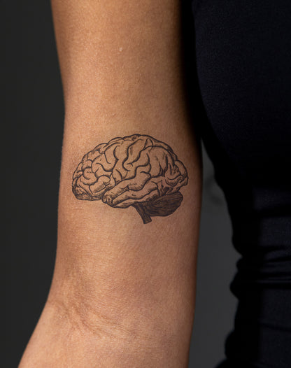 Brain